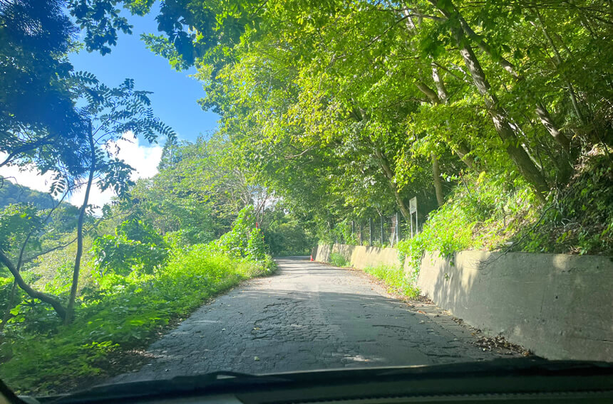 フェリーターミナルからワイナリーへの山道