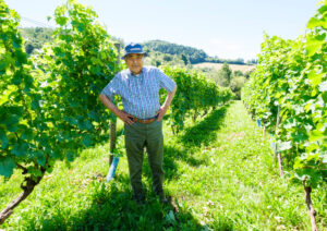 TAKIZAWA WINERY（タキザワワイナリー）